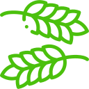 icon-grain-1
